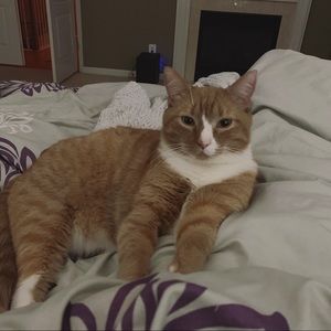 Meet your Posher, Erin